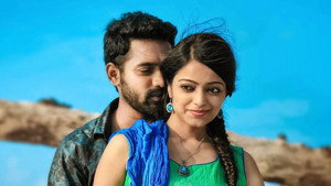 മോസയിലെ കുതിരമീനുകൾ háttérkép