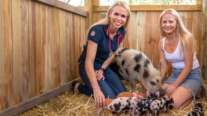 Bondi Vet: Coast to Coast kép