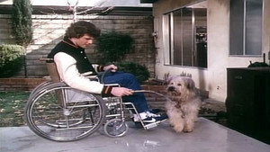 Here's Boomer Season 1 Ep.11 11. epizód