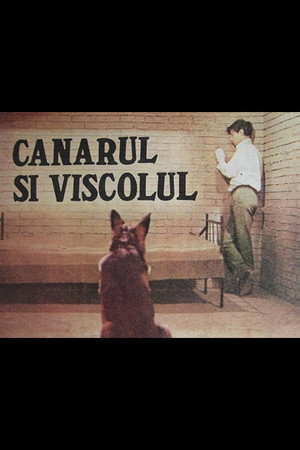 Canarul și viscolul poszter