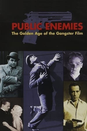 Public Enemies: The Golden Age of the Gangster Film