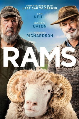 Rams poszter
