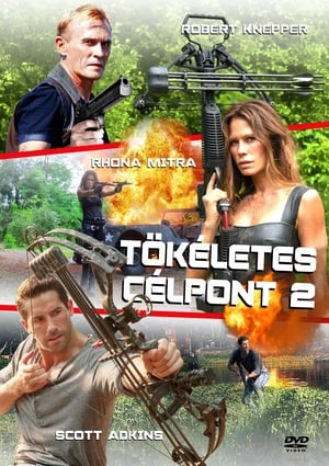 Tökéletes célpont 2.