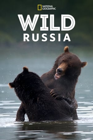 Wildes Russland poszter