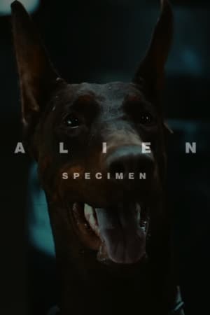 Alien: Mintapéldány poszter