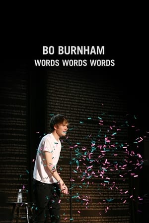 Bo Burnham: Words, Words, Words poszter