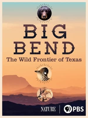 Big Bend: The Wild Frontier of Texas poszter