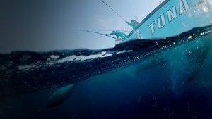 Wicked Tuna: Outer Banks kép