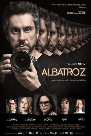 Albatroz poszter