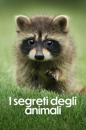 Az állatok titkos élete poszter