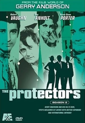 The Protectors