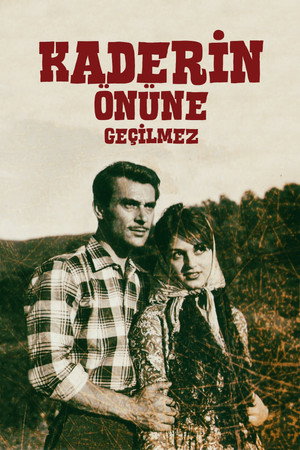 Kaderin Önüne Geçilmez poszter