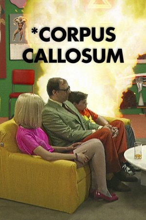*Corpus Callosum poszter