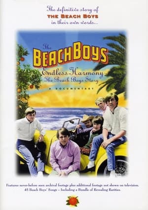 The Beach Boys: Endless Harmony poszter