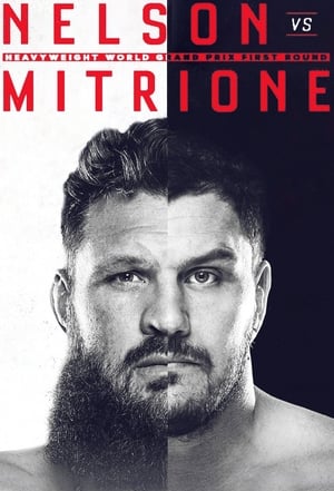 Bellator 194: Mitrione vs. Nelson 2 poszter