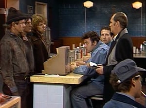 Newhart Season 1 Ep.16 16. epizód