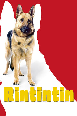 Rin Tin Tin poszter