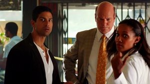 CSI: Miami-helyszínelők 10. évad Ep.10 Hosszú menet