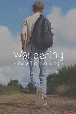 Wandering: The Art of Noticing poszter
