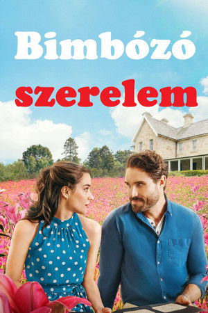 Bimbózó szerelem