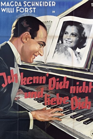 Ich kenn' dich nicht und liebe dich poszter