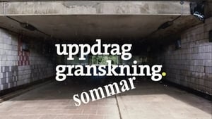 Uppdrag granskning sommar kép