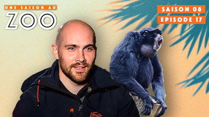 Une saison au zoo Season 8 Ep.17 17. epizód