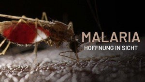The Battle to Beat Malaria háttérkép