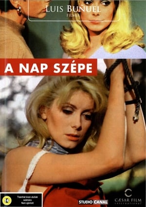 A nap szépe