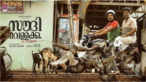 സൗദി വെള്ളക്ക háttérkép
