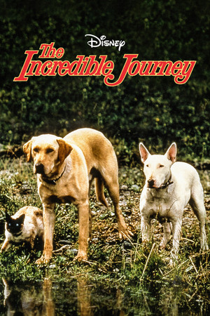 The Incredible Journey poszter