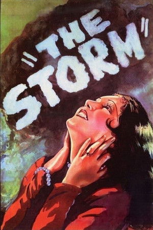 The Storm poszter