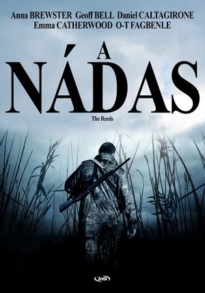 A nádas