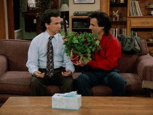Perfect Strangers 6. évad Ep.15 15. epizód