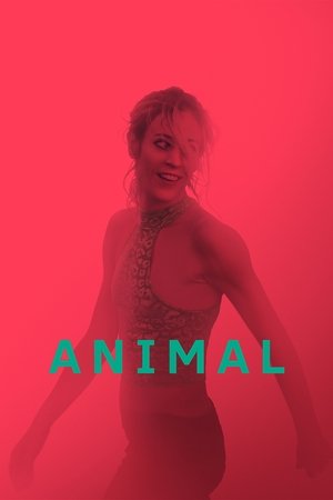 Animal poszter