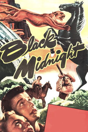 Black Midnight poszter