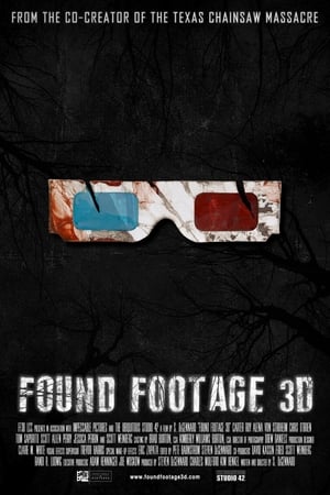 Found Footage 3D poszter