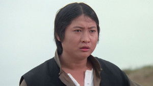 老虎田雞 háttérkép