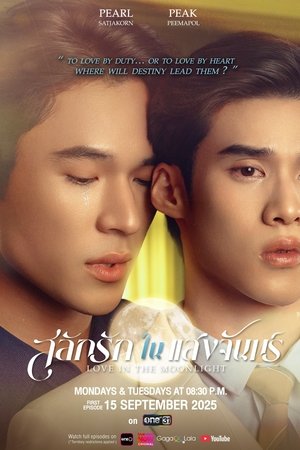 สลักรักในแสงจันทร์ poszter