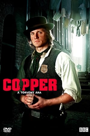 Copper - A törvény ára