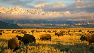 National Parks: USA kép