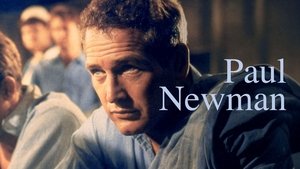 Paul Newman, l'intranquille háttérkép