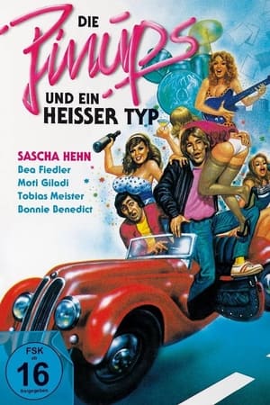 Pinups und ein heißer Typ poszter