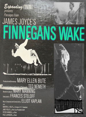 Passages from James Joyce's Finnegans Wake poszter