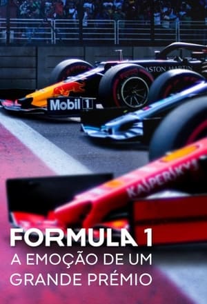 Formula 1: Hajsza a túlélésért poszter