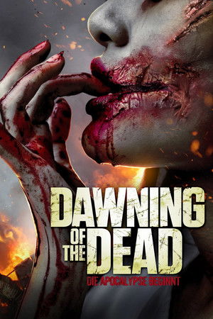 Dawning Of The Dead poszter