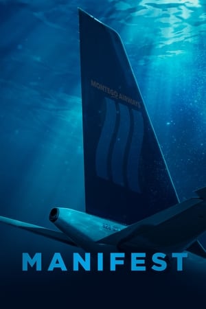 Manifest poszter