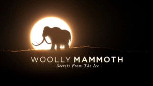 Woolly Mammoth: Secrets from the Ice háttérkép