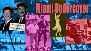 Miami Undercover kép