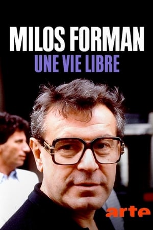 Forman vs. Forman poszter